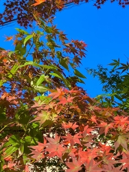 ほんの少しです...