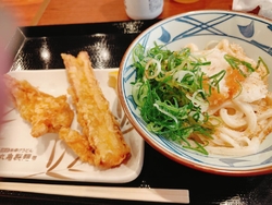 久しぶりの訪問...