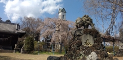 錦着山で、こん...