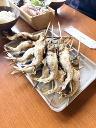 今年2回目、大...