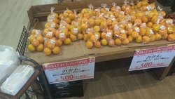 みかんが美味し...