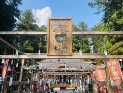普段敷居が高く...
