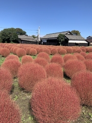 小山市小薬地区...