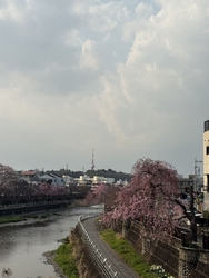 駅前の田川ぞい...