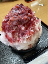 2回目の太陽の...