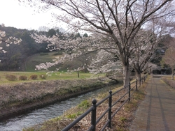 時間に追われて...