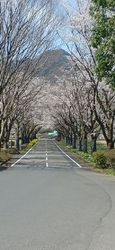 今日は、4月7...