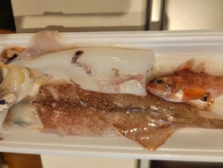 イカの中に魚が...