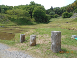 田んぼは田植え...