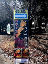 清原球場で開催...