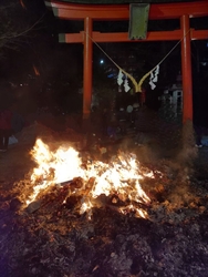 毎年恒例のどん...