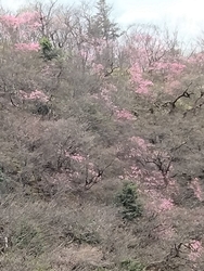 標高1433ｍ...
