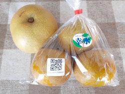 今年も梨を買い...