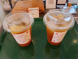 栃ナビプレゼン...