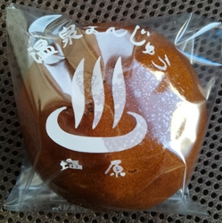 第8回塩原雛巡...
