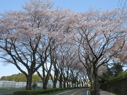 帰り道に寄って...