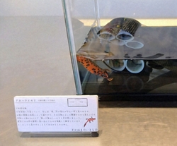 平日午前中訪問...