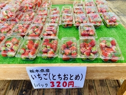 近くで用事があ...