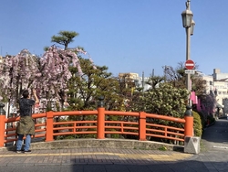 釜川プロムナー...