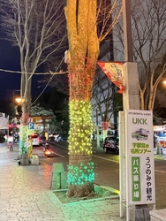 バンバ通りで、...