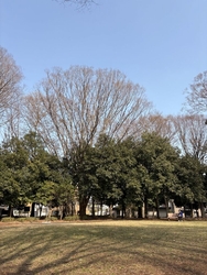 文化会館で開催...