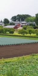 夏恒例のしもつ...