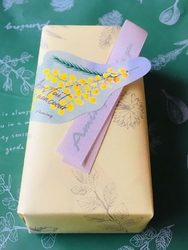 生活雑貨 Aming小山城南店のクチコミ 口コミ 写真 小山市 小物 雑貨