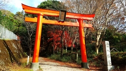 八幡山公園に来...