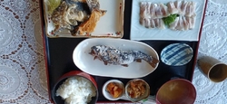 8月に1人で来...