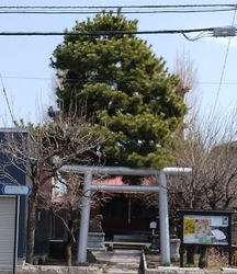 平日午後初参拝...
