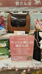 今日は、...
