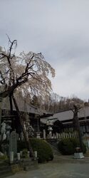 佐野市天然記念...