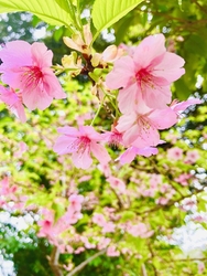 今日は、春分の...