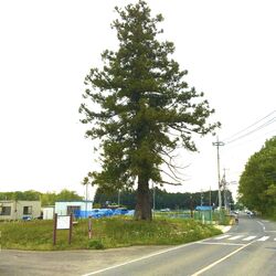旧会津街道の脇...