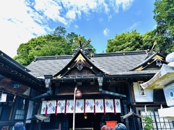 今年の干支の蛇...