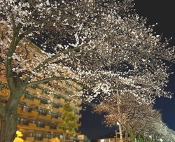 今年もスーパー...