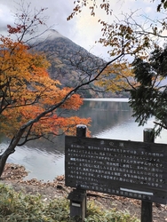 見頃は過ぎつつ...