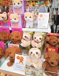 福袋の先行販売...