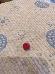 ワークショップ...