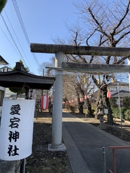 平日の午後に初...