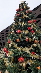 クリスマスマー...