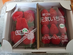 今シーズンのイ...