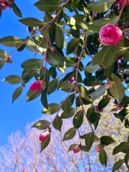 寒く晴れた日は...