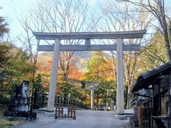 紅葉が綺麗だと...