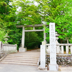 皆さんのクチコ...