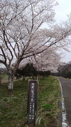 こちらは、先日...