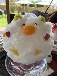 お昼過ぎに伺い...