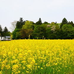 母と那須塩原市...
