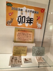 2023年...