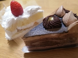 お疲れモードの...